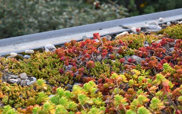 the cost of Birtley green roof installation