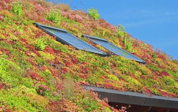 Birtley living roof systems